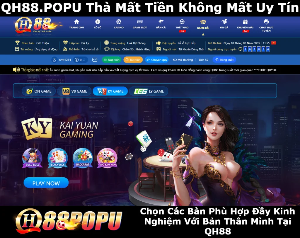 chon-ban-choi-phu-hop-voi-kinh-nghiem-ban-than-tai-qh88