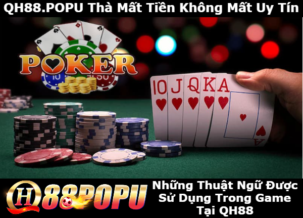 nhung-thuat-ngu-quan-trong-duoc-su-dung-trong-game-qh88