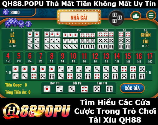 tim-hieu-cac-cua-cuoc-trong-tro-choi-tai-xiu-qh88