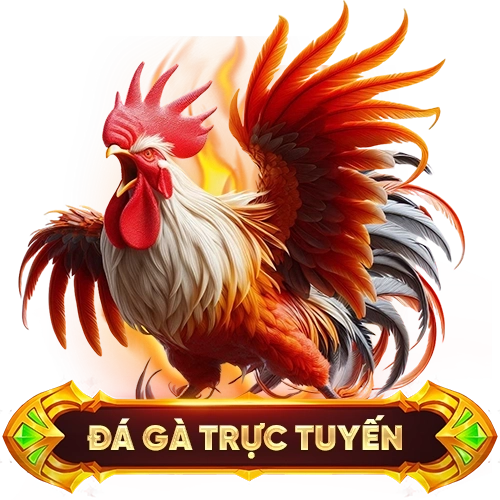 đá gà trực tuyến QH88